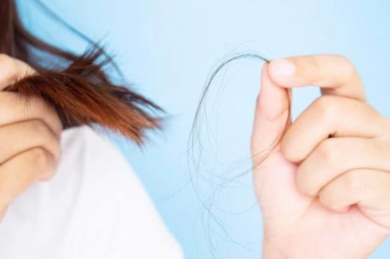 Soins capillaires :  Comment prévenir la chute des cheveux